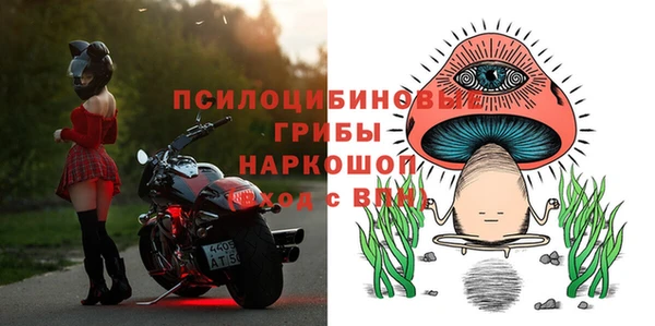 ALPHA-PVP Аркадак